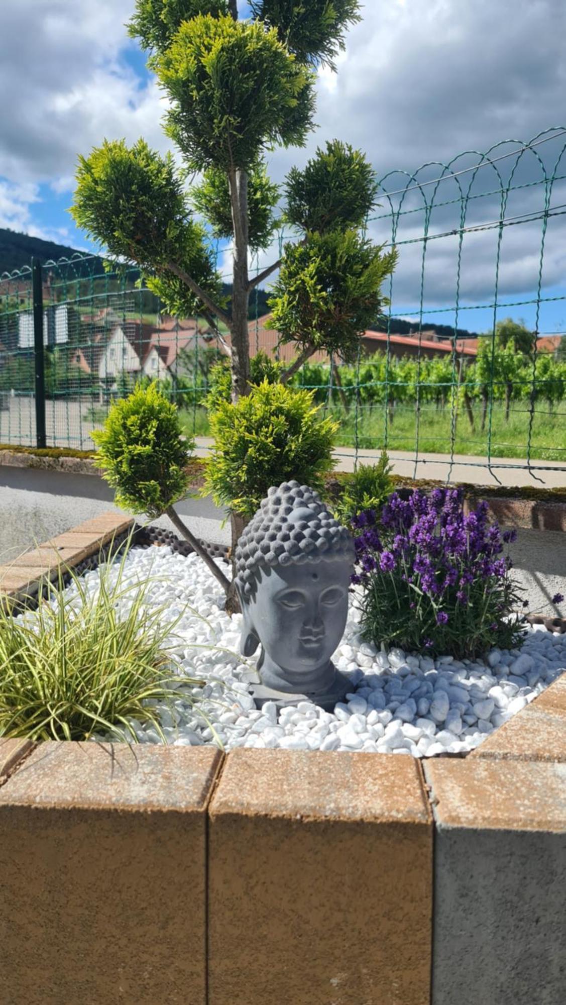 Au Jardin D'Edel Gites Centre Alsace Дифенталь Экстерьер фото